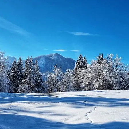 Apartma Ursic Apartamento *