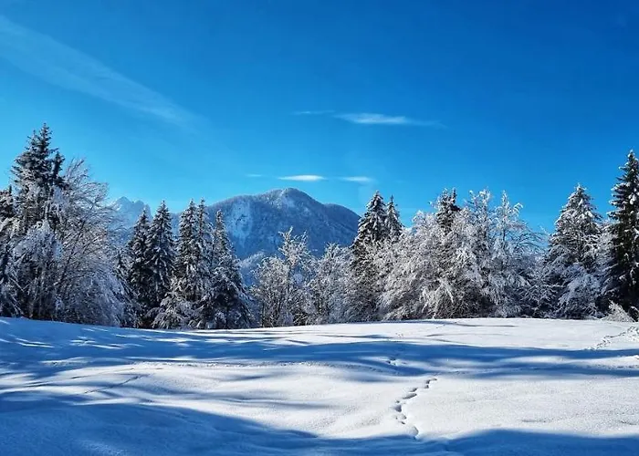 Apartma Ursic Appartement *