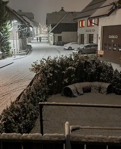 Apartma Ursic Kranjska Gora